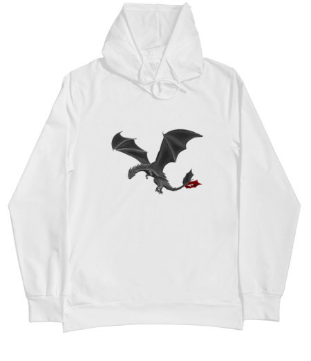 Harry Potter X HTTYD